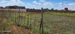Commercial 1/4 Plots for Sale Eldoret Kimumu Marura - 1