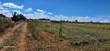 Commercial 1/4 Plots for Sale Eldoret Kimumu Marura - 4