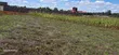 Commercial 1/4 Plots for Sale Eldoret Kimumu Marura - 5