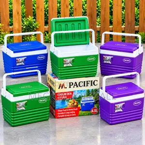 Heavy-Duty Insulation 4.5L Handheld Portable Cooler Box