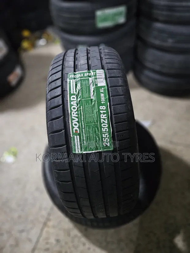 255/50R18 Dovroad Tire - 1