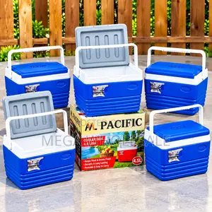 Durable 4.5L Handheld Portable Cooler Box