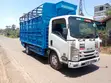 Isuzu NMR Mini Truck for Sale - 3