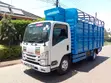 Isuzu NMR Mini Truck for Sale - 5