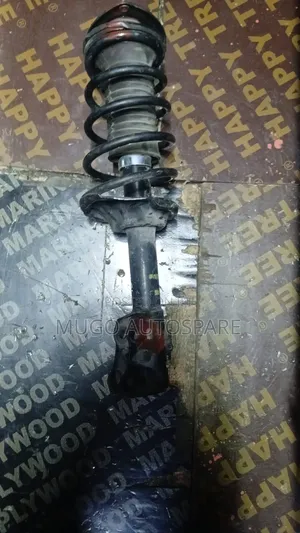 Shock Absorber & Spring Coil for Toyota Probox (Old Model)
