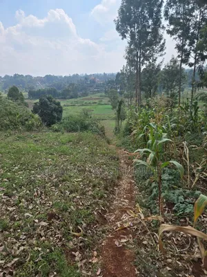 Ready to Build 40x60 Plots for Sale in Wangige Cura