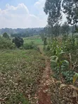 Ready to Build 40x60 Plots for Sale in Wangige Cura - 1