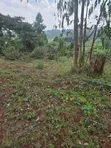 Ready to Build 40x60 Plots for Sale in Wangige Cura - 2
