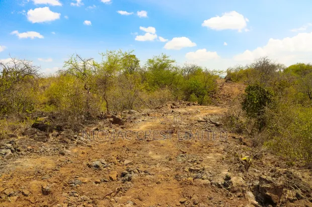 Quarter Acre Plots for Sale in Ewauso Kedong - 1