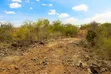 Quarter Acre Plots for Sale in Ewauso Kedong - 1