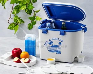Mini Cooler Box from Taiwan