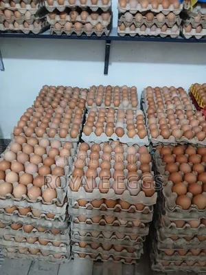 Pattissire Fresh Chicken Eggs - 30 Pack