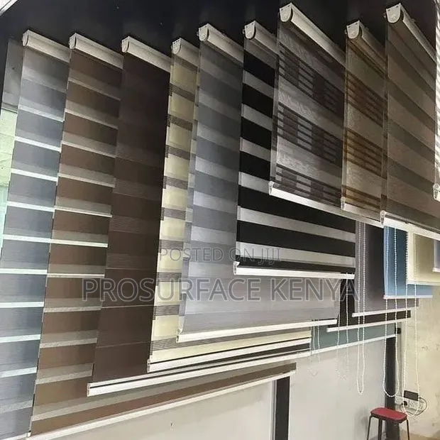 Modern Zebra Roller Blinds - 1