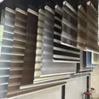 Modern Zebra Roller Blinds - 1