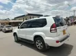 Toyota Land Cruiser Prado 2009 White - 1
