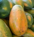 Papaya Fruits - 2