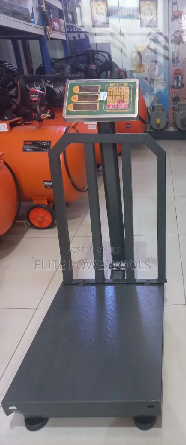 Heavy-Duty Platform Weighing Scale (300kg) - 1