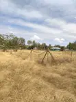 Lucky Base, Korompoi Plot - 50x100ft - 1