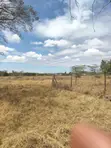 Lucky Base, Korompoi Plot - 50x100ft - 4