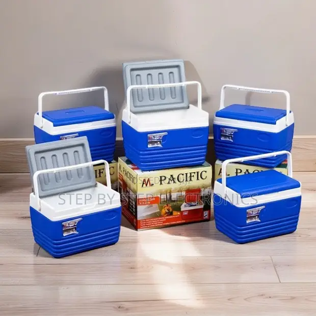 4.5L Portable Cooler Box Ice Box - 1