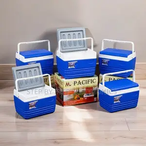 4.5L Portable Cooler Box Ice Box