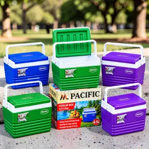 Reusable 4.5L Portable Cooler Box Ice Box