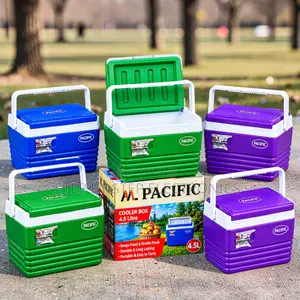 Sleek Premium-Finish 4.5L Handheld Portable Cooler Box