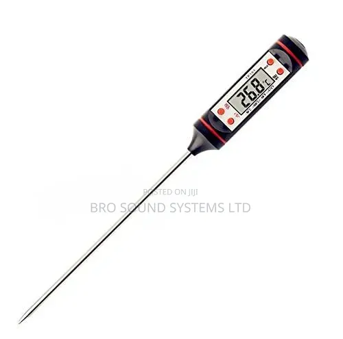 Digital Probe Thermometer for Home Use - 1
