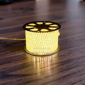 50M SMD Warm White LED Strip Light Snake Light