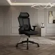 Lamar Adjustable Lumbar Support Ergonomic Office Chair - 1