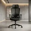 Lamar Adjustable Lumbar Support Ergonomic Office Chair - 2