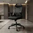 Lamar Adjustable Lumbar Support Ergonomic Office Chair - 3