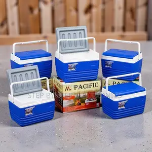 Rugged 4.5L Portable Cooler Box Ice Box