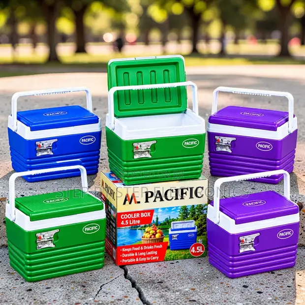 Compact 4.5L Handheld Portable Cooler Box - 1