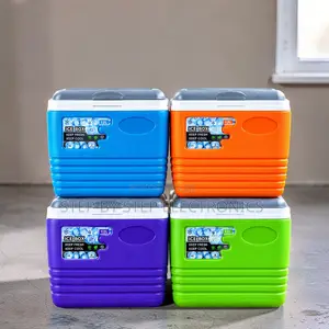 4.5L Portable Cooler Box Ice Box