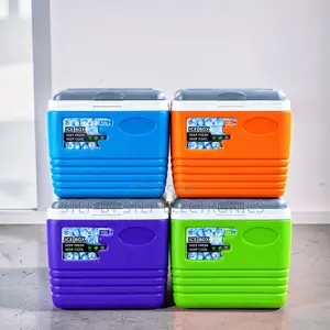 Professional Grade 4.5L Food Safe Cooler Box