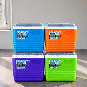 Portable 4.5L Cooler Box Ice Box