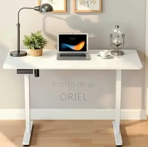 Height Adjustable Electric Standing Desk