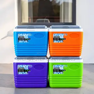 4.5L Handheld Portable Cooler Box with Removable Lid