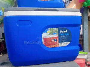 31L Ice Cooler Box