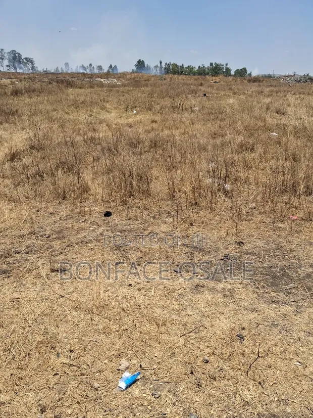 Sabaki Face Four Land for Sale - Ready Title - 1