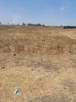 Sabaki Face Four Land for Sale - Ready Title - 3