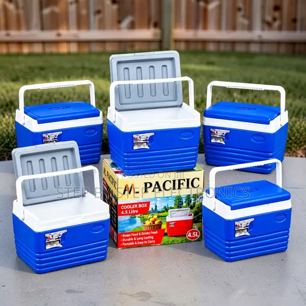 4.5L Handheld Portable Cooler Box Ice Box - 1