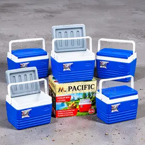 Lightweight 4.5L Handheld Portable Cooler Box Ice Box