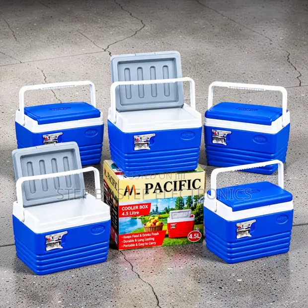 4.5L Portable Cooler Box Ice Box - 1