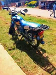 TVS XL 100 2023 Blue - 2