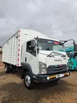 Isuzu FRR Truck - Well Maintained - 2
