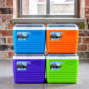 Heavy-Duty Insulation 4.5L Handheld Portable Cooler Box