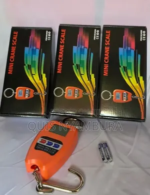200kg Digital Crane Scale