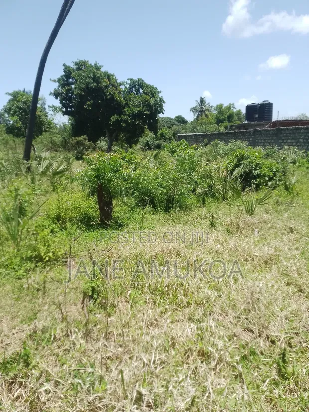 Vipande vya 50x100 vinauzwa Mtwapa Mtepeni - 1
